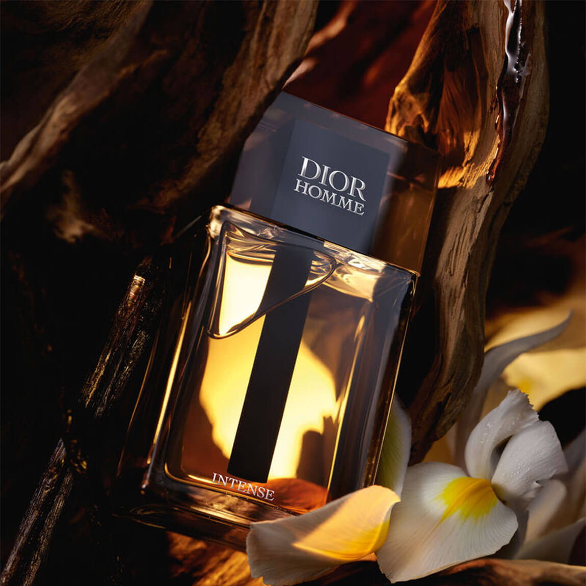 christian-dior-homme-intense-eau-de-parfum-100ml-tester-2 Christian Dior Homme Intense Eau de Parfum 100ml - Tester